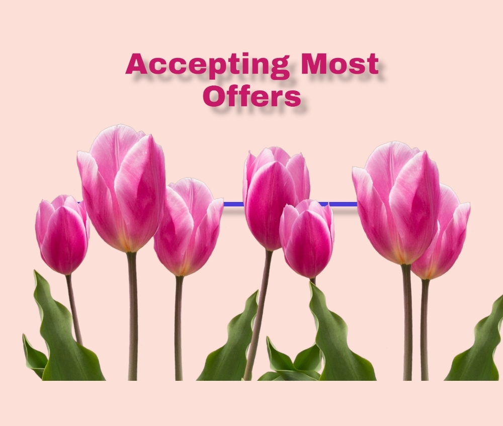Now Accepting Most Offers!